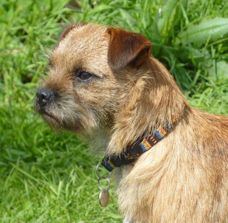 Graine d'astuce Des petites nouches