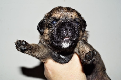 TUCKER